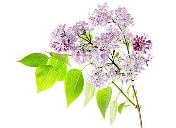 传《GTA6》不再有三个主角 尚在早期开发阶段